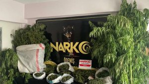 İzmir'de 9,5 kilo esrar ele geçirildi: 1 gözaltı