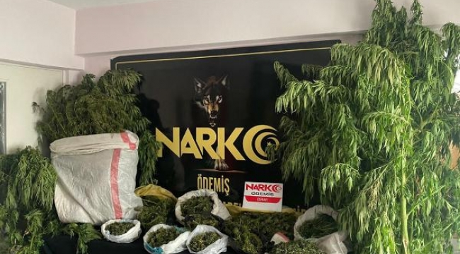 İzmir'de 9,5 kilo esrar ele geçirildi: 1 gözaltı
