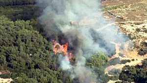İzmir'de orman yangını