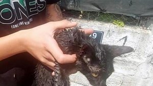 İzmir'de sağanak; dere taştı, yollar göle döndü