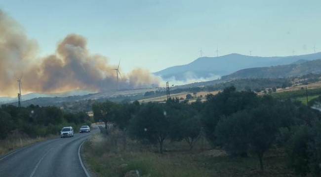 İzmir'de, tarım alanında yangın