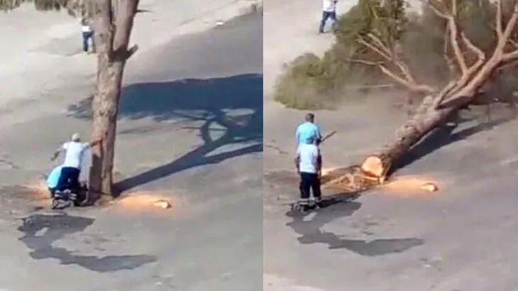 Çevre Bakanı'ndan İzmir tepkisi