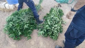 İzmir'deki operasyonlarda uyuşturucu ele geçirildi