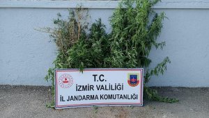 İzmir'deki uyuşturucu baskını: 3 tutuklama