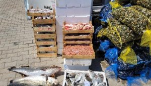 Kaçak balık ve midye taşıyan şüpheliye 10 bin 811 lira ceza