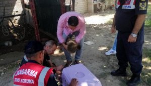 Kafesteki maymun çocuğun elini ısırdı