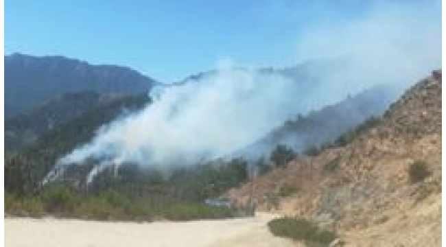 Kahramanmaraş'ta orman yangını