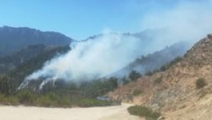 Kahramanmaraş'ta orman yangını