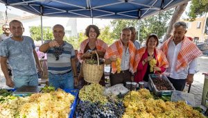 Karaburun'da üzüm şenliği coşkusu