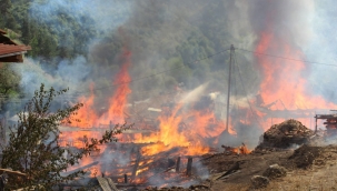 Kastamonu'da köyde çıkan yangında 10 ev küle döndü