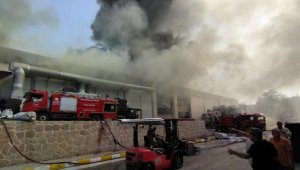 Korkulu anlar! Uşak'ta iplik fabrikasında yangın