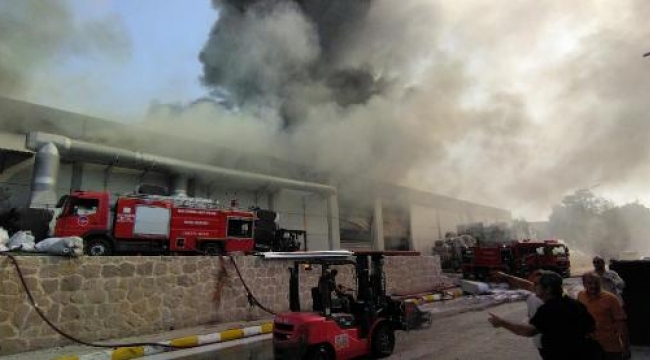 Korkulu anlar! Uşak'ta iplik fabrikasında yangın