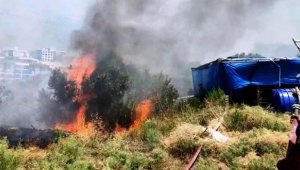 Kuşadası'nda zeytinlikte çıkan yangın, ormana sıçramadan söndürüldü