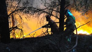 Manisa'da, 5 gün arayla 444 hektar alan yandı