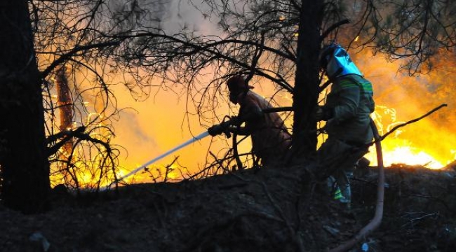 Manisa'da, 5 gün arayla 444 hektar alan yandı