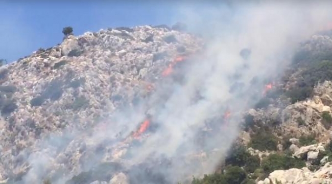 Marmaris'te makilik yangını çıkaran çobana gözaltı