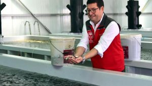 Muğla'dan balık ihracatında 7 ayda 463 milyon dolarlık gelir elde edildi