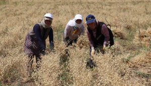 Nohuda 'nükleer' çözüm