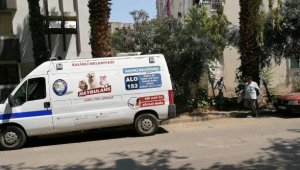 Salihli'de 15 kedi ile 1 köpeği zehirlediler