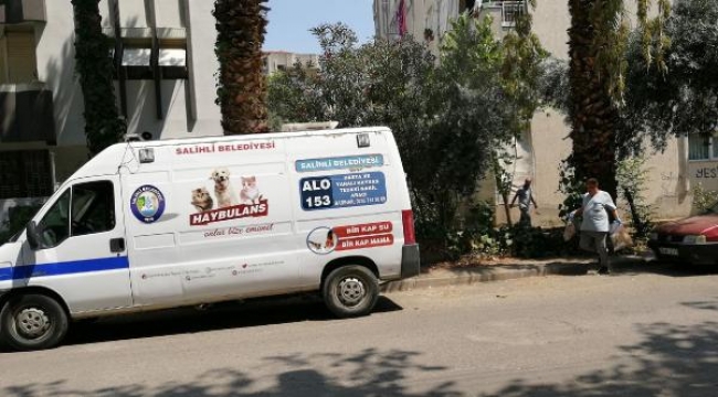 Salihli'de 15 kedi ile 1 köpeği zehirlediler