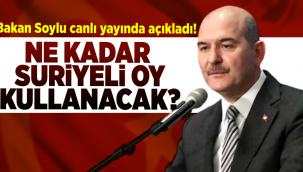 Seçimde kaç Suriyeli oy kullanacak! İşte rakam