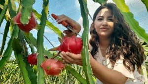 Sinemayı bıraktı, hayalinin meyvesini üretiyor