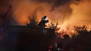 Soma'daki orman yangını 12 saatte kontrol altında