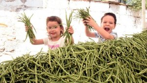 Torbalı'da incirin ardında bu defa da börülce için festival