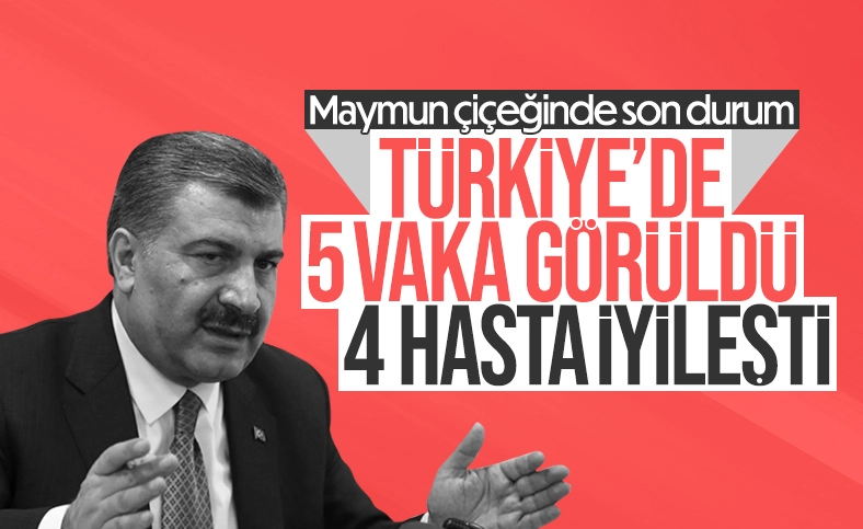 Türkiye'de 5 maymun çiçeği vakası tespit edildi