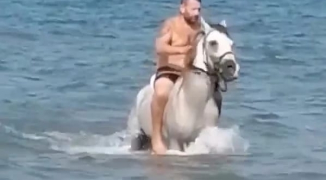 Urla'da plajda bulunanlar şaşırdı kaldı! At ile denize girdi