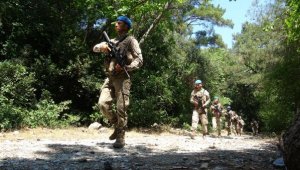 Yasağa rağmen ormana giren 68 kişiye 39 bin TL ceza