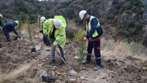 YK Enerji, son 3 yılda 1 milyonu aşkın fidanı toprakla buluşturdu