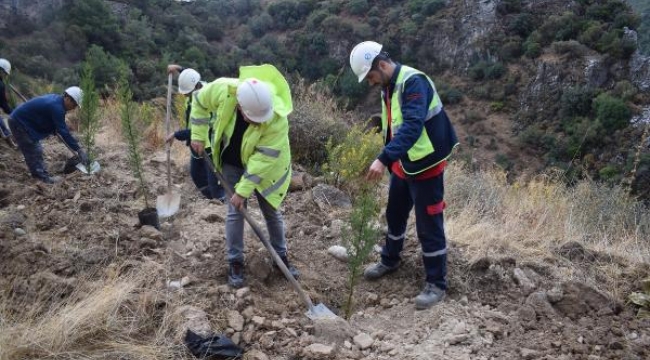 YK Enerji, son 3 yılda 1 milyonu aşkın fidanı toprakla buluşturdu