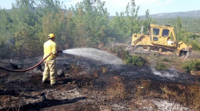 Akhisar'da orman yangını! 2 uçakla söndürüldü