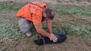 Asılı kalan köpeğe kalp mesajı