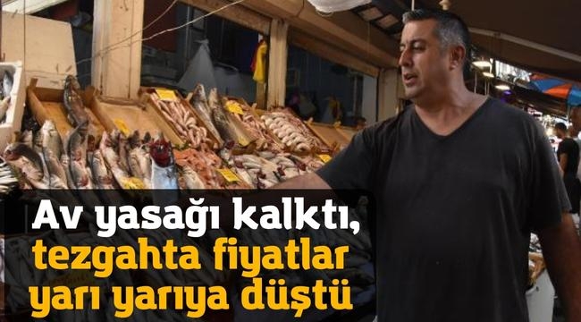 Av yasağı kalktı, tezgahta fiyatlar yarı yarıya düştü