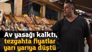 Av yasağı kalktı, tezgahta fiyatlar yarı yarıya düştü