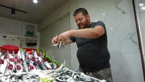 Çanakkale'de av yasağının kalkmasıyla sardalyanın kilosu 60 TL'ye düştü