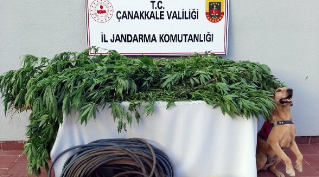 Çanakkale'de uyuşturucu operasyonu: 3 gözaltı