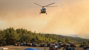 Denizli 19 saat yandı, 100 hektar zarar gördü