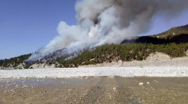 Denizli'de orman yangını! 4 helikopterle müdahale ediliyor