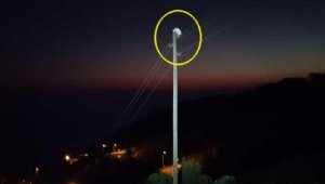 Elektrik direğinde mahsur kalan kedi kurtarıldı