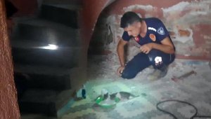 Gider borusuna sıkışan 2 yavru kediyi itfaiye ekipleri kurtardı