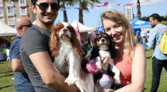 Hayvanseverler Karşıyaka "Patiyaka" şenliğinde buluşacak