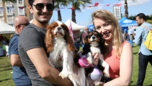 Hayvanseverler Karşıyaka "Patiyaka" şenliğinde buluşacak