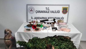 Hintkeneviri yetiştiren 2 şüpheliye gözaltı