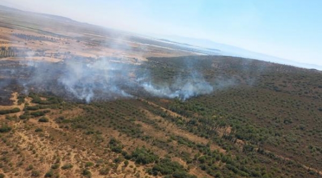 İzmir'de makilikte çıkan yangın ormana sıçradı