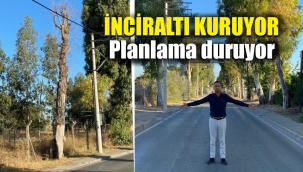 Karabulut: İnciraltı'nda su kalmadı, tarım bitti