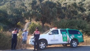 Köpeği ağaca asarak öldüren şüpheli 6 ay sonra yakalandı, serbest bırakıldı