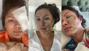 Köpeklere dokunmayın diyordu! Köpekler parçaladı